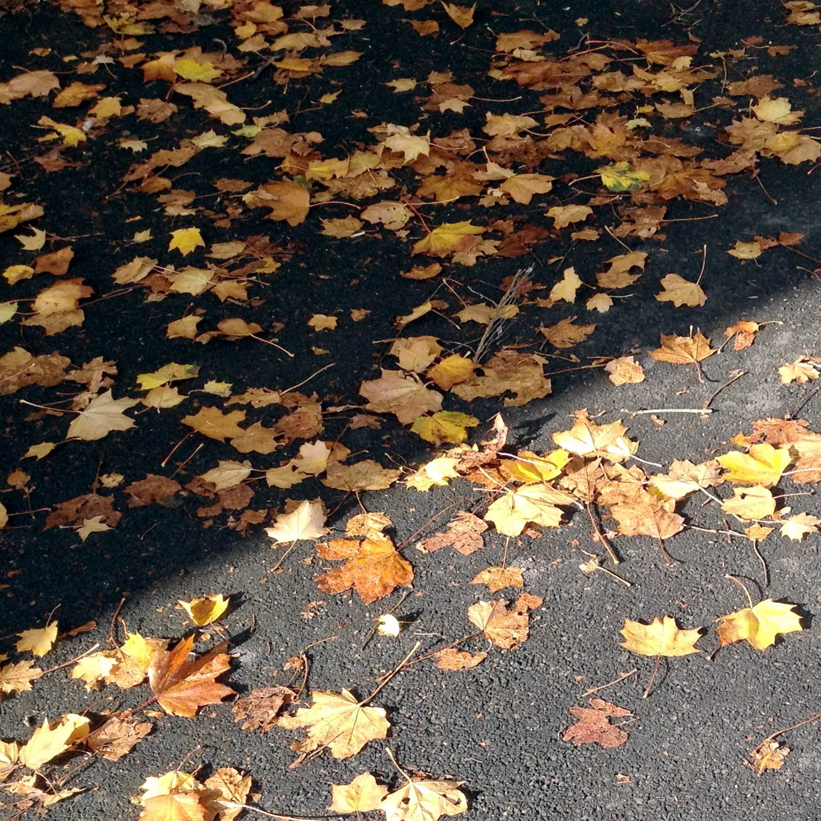 13 moments in October