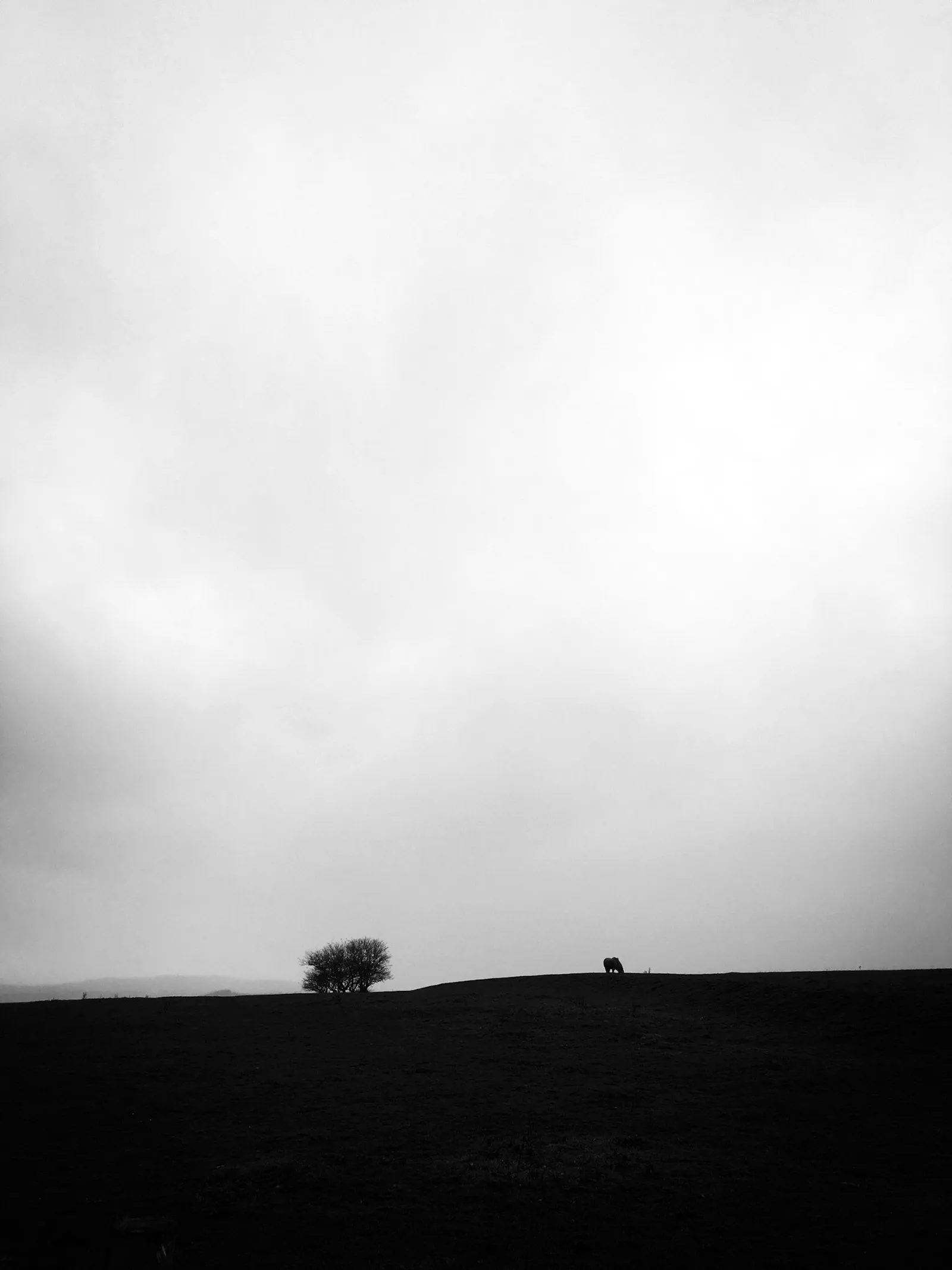 I felt my self sinking, but not alone, and in peace